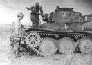 Лёгкий танк чехославацкого производства PzKpfw 38(t) Ausf G. Скорее всего, принадлежал разведывательному   подразделению 16-ой дивизии Вермахта. Юго-Восточный фронт, сентябрь 1942 года.