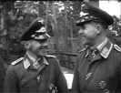    Die Deutsche Wochenschau